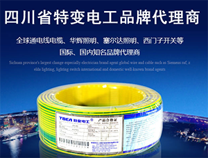 四川開關插座 四川開關插座